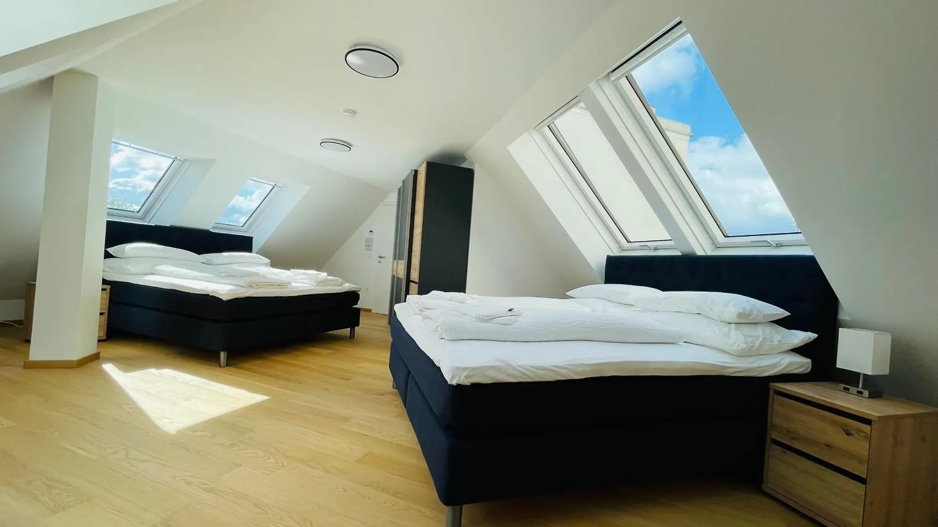 Spacious Penthouse Apartment - 4 Rooms For Up To 10 Guests - Contactless Check-In Vienna