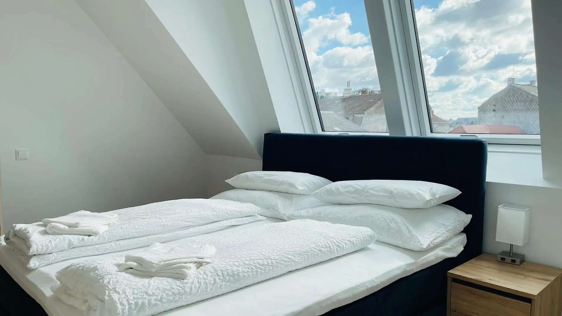 Spacious Penthouse Apartment - 4 Rooms For Up To 10 Guests - Contactless Check-In 비엔나